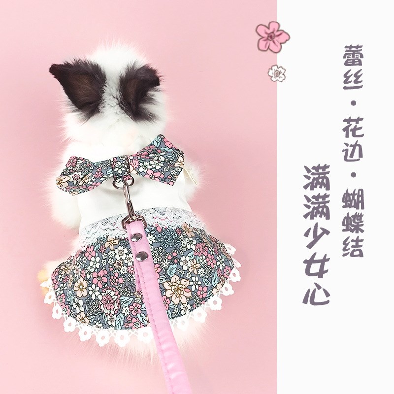 兔子衣服夏季宠物兔小型遛兔子牵引绳防挣脱外出背心式牵引绳服饰