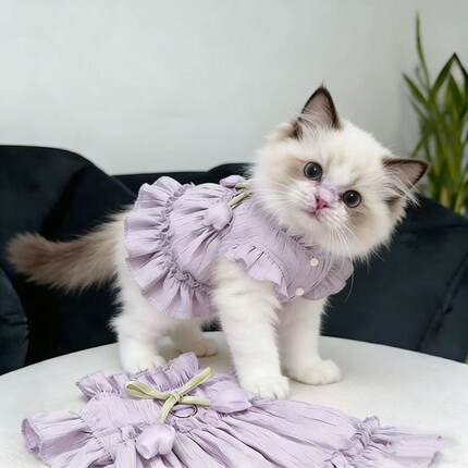 宠物狗狗猫咪郁金香公主裙泰迪比熊外出遛狗绳衣服紫色易脱蓬蓬裙
