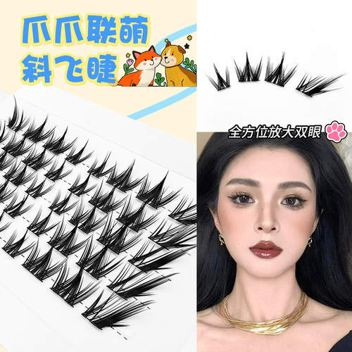 Fox dog false eyelashes, single cluster segmentation假睫毛