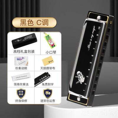 高档孔天十鹅孔布鲁斯口琴正品10童初学者入门蓝调儿C调专业演奏p