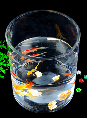 加厚大号玻璃圆筒鱼缸圆柱形透明金鱼缸办公室桌面水培小型生态缸