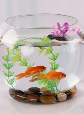 玻璃金鱼缸创意带底圆形透明水培绿萝家用底座鱼缸办公桌面摆件
