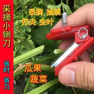 拇指采摘刀打叶摘菜工具采摘小铡刀黄瓜豆角葡萄掐须打尖打叉刀
