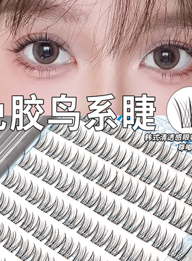120簇大容量韩妆鸟系免胶假睫毛