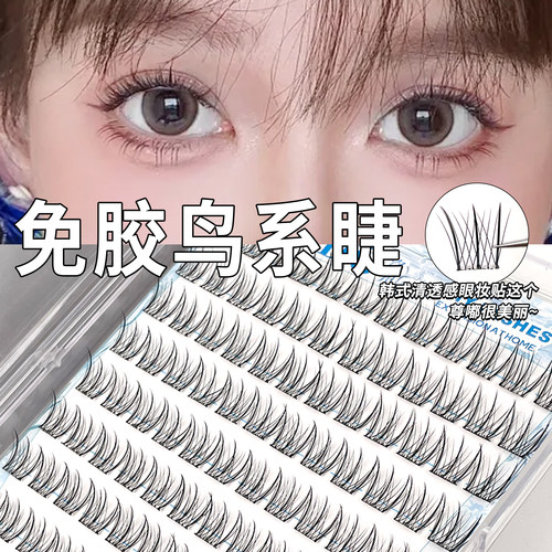 120簇大容量韩妆鸟系免胶假睫毛