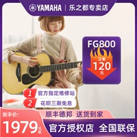 Yamaha FG800 народная гитара FGX800C Одноразовая одиночная электроставка для одноэлектрической коробки младший ученый 41/40 дюймов