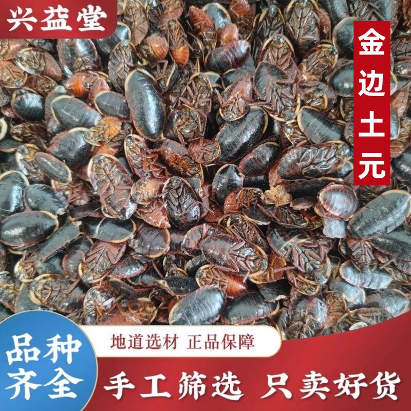 金边土元中药材500g包邮土鳖虫