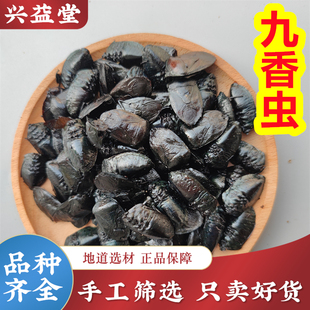 九香虫中药材500克正品黑兜虫 瓜黑蝽屁板虫 打屁虫蜣螂虫 可打粉