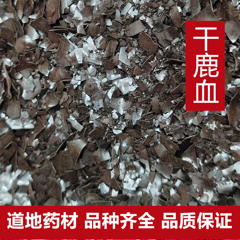 中药材石决明子茶正品