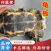 包邮 龟下甲 正品 龟板中药材500克 新货生龟板 龟甲 龟底板 可打粉