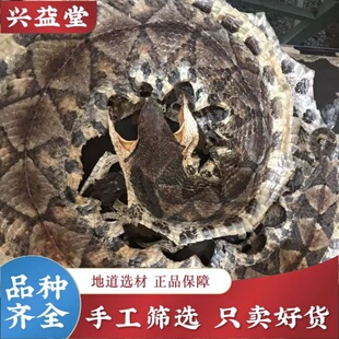 蕲蛇中药材正宗50克起五步蛇八步蛇金钱白花蛇银环蛇乌梢包邮整条