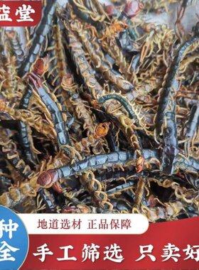 蜈蚣中药材无竹签湖北蜈蚣干红头蜈蚣100克 蜈蚣粉肉蝎子泡酒全虫