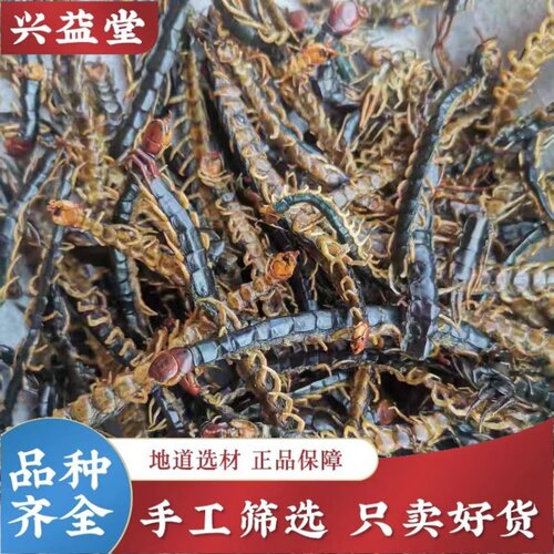 蜈蚣中药材无竹签湖北蜈蚣干红头蜈蚣100克 蜈蚣粉肉蝎子泡酒全虫