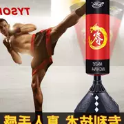 . Chất lượng đấm bốc Sanda cát dọc cát túi cát Taekwondo đào tạo lớn thiết bị thể dục nhà người lớn - Taekwondo / Võ thuật / Chiến đấu