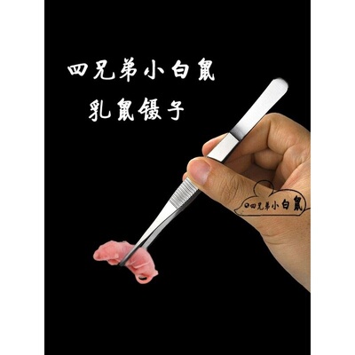 顺丰红皮乳鼠冰冻小白鼠喂蛇冻鼠喂猫宠物蛇食物角蛙蛙粮蜥蜴饲料