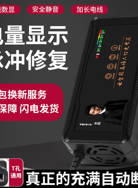 电动三轮车电瓶充电器48V60AH60V40AH72V50AH96V108V120V天能超威