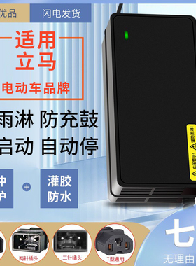 适用立马防水电动车电瓶车充电器48V60V72V12AH20AH两孔3针公插头