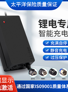 锂电池充电器48V36V60V24V2A72V锂离子哈雷平衡车改装车