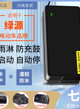 适用绿源电动车充电器48V60V72V80V20AH30AH12AH英克莱小鸟圆头孔