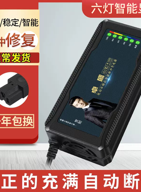 电动车电瓶充电器48V12AH60V20安72V32爱玛雅迪台铃小刀铅酸通用