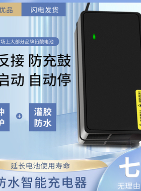 适用于尼科尼亚电动车电瓶适用充电器4812AHV60V72V30AH40AH50
