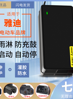 适用于雅迪电动车48V12AH60V20AH72V20AH电瓶充电器