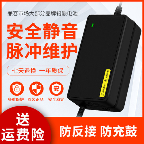 雅马哈电动车电瓶适用充电器