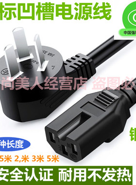 多功能电热锅 LBDG-2100电源线大功率凹槽三脚高质量连接电线插头