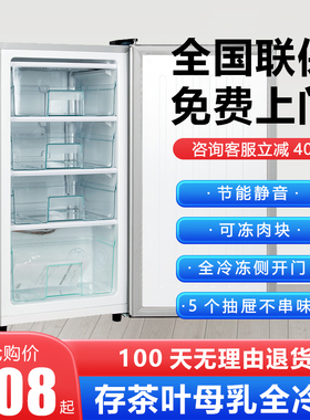 冰熊侧开立式单开门全冷小型冻冰箱冰柜家用小冰柜迷你存母乳冻肉