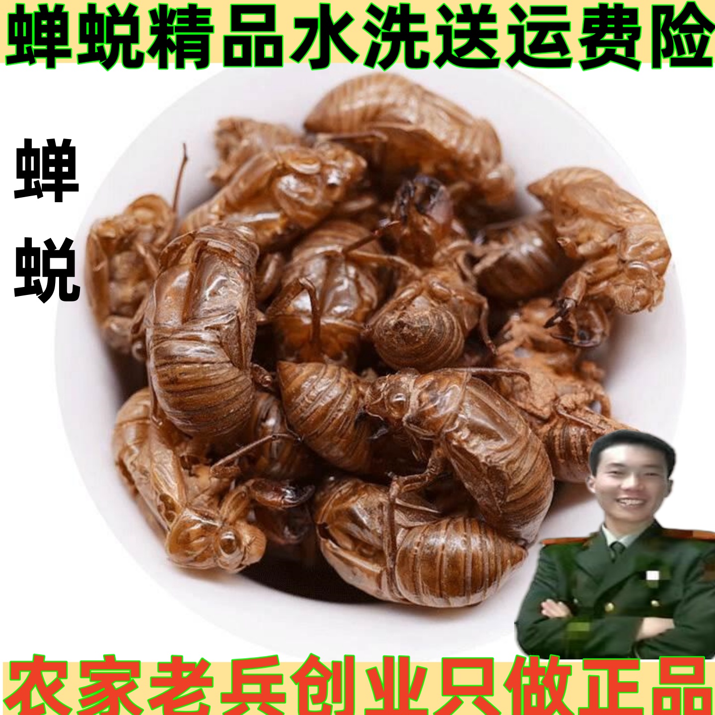 中药材蝉蜕100克至500克可磨粉蝉衣知了壳蝉脱自然脱落水洗好蝉蜕