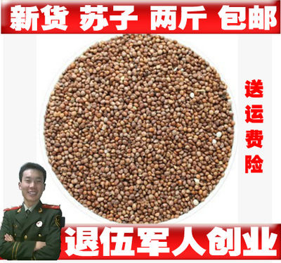 苏子紫苏子东北榨油一斤包邮另有