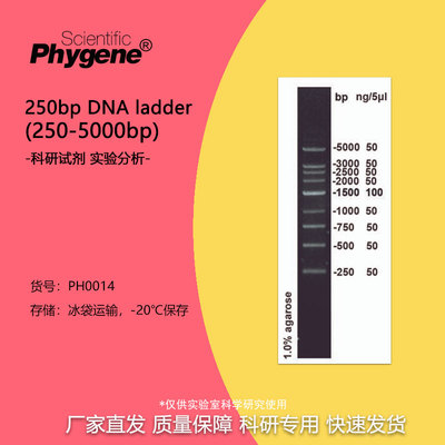 核酸电泳DNAMarker250-5000bp