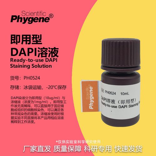 DAPI溶液即用型科研专用