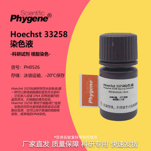 Hoechst 33258染色液 赫斯特荧光细胞核DNA染色液 细胞凋亡检测
