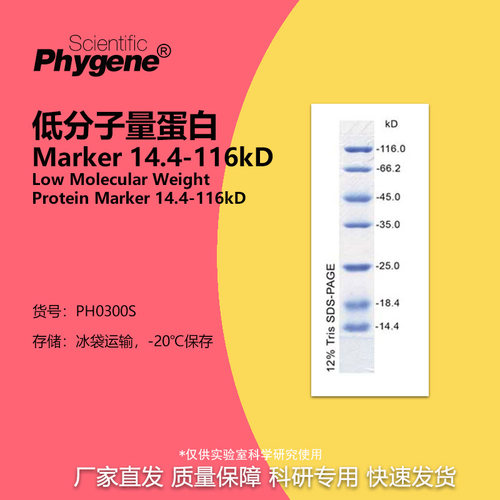 低分子量蛋白质Marker14.4-116kD