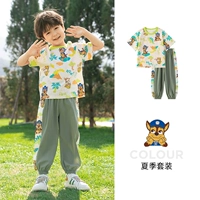 Бежевая малага (242PS0161)+военные зеленые брюки (242PK0186) Мужская модель