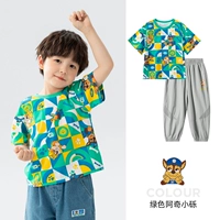 Зеленая T -Fork (242PS0162)+Gracier Grey Pants (242PK0079) Мужские модели