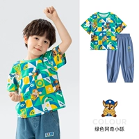 Зеленая t -мала (242PS0162)+синие брюки (242PK0079) Мужская модель