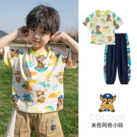 Бежевая T -Fish (242PS0161)+Blue брюки сокровища (242PK0186) Мужские модели