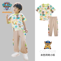 Бежевая T -Fork (242PS0161)+Хаки брюки (242PK0228) Мужская модель