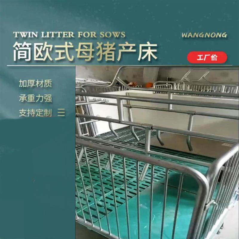 养用猪用的新款欧式体单母猪产床养殖设备jwn保育产保两双猪分娩