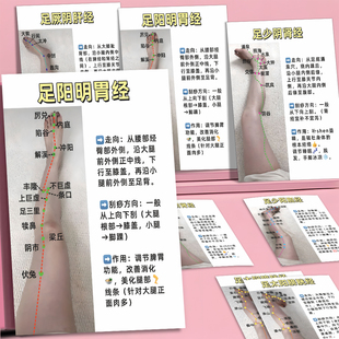 腿部经络刮痧拍立得】中医养生十二经脉疏通穴位按摩手法科普小卡