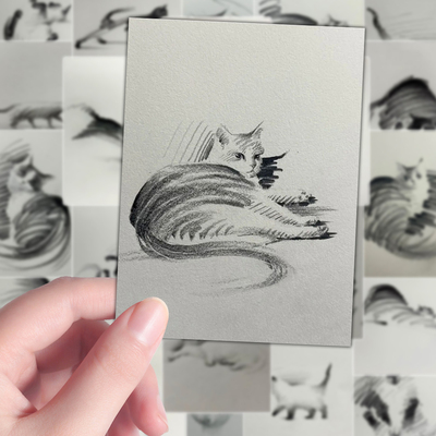 160张美术生零基础简约ins速写小猫绘画素材参考手账笔记本贴纸