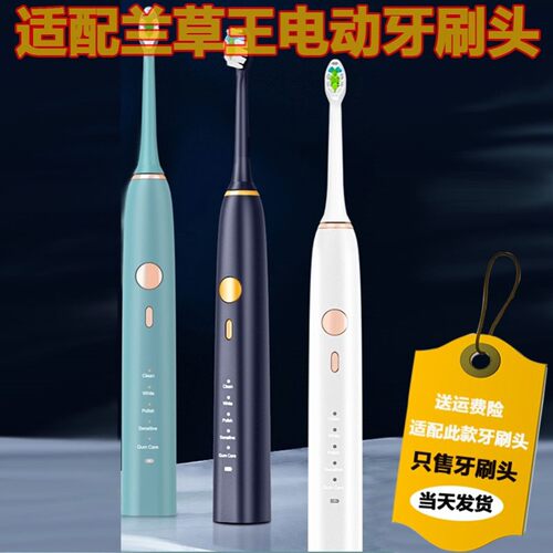 适配新款兰草王声波电动牙刷头H6 Plus清洁型杜邦刷毛替换头