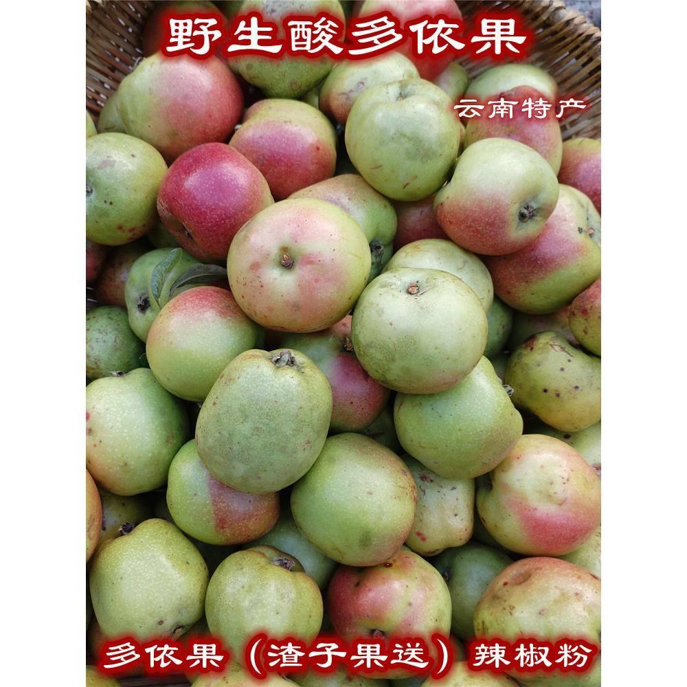 泡多依果酸多依果渣子果云南特产嫁接酸多依芽果野生酸味孕妇水果