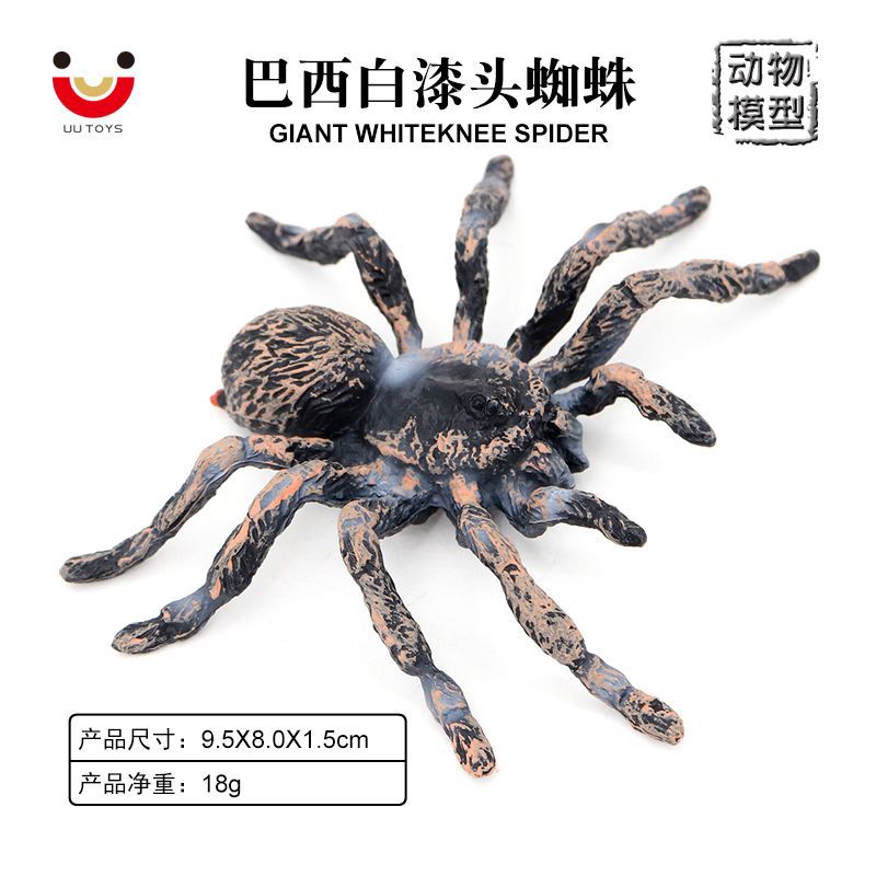 蛛早教认知教学玩具整蛊吓人玩具