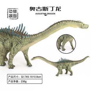 仿真实心恐龙模型白垩纪奥古斯丁龙科教认知儿童玩具手办摆件