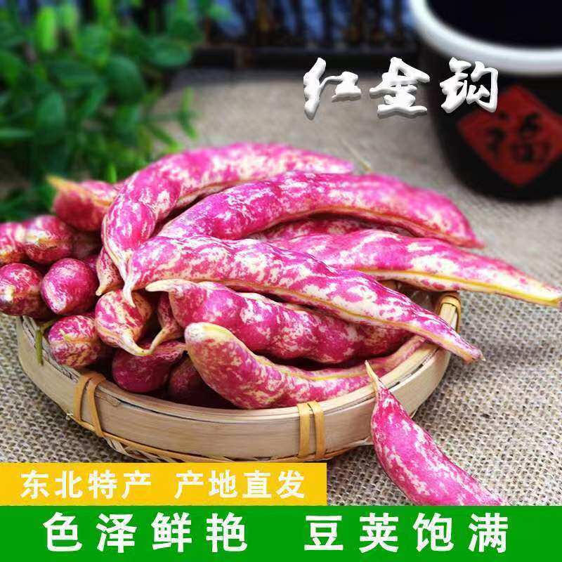 东北特产红金钩豆角黄金钩豆角鼓豆豆角应季蔬菜农家种植