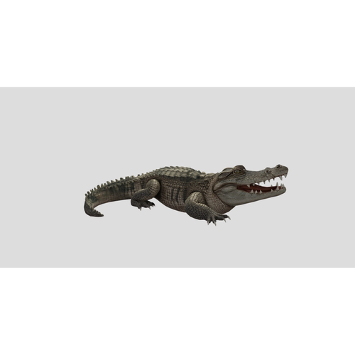 鳄鱼3d模型素材含贴图fbx/obj/blender/glb