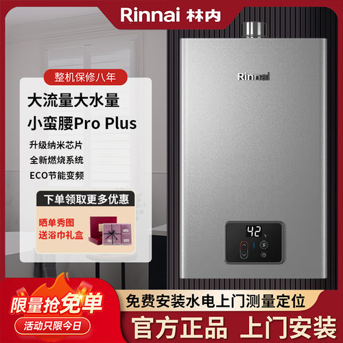 林内【小蛮腰系列】16升强排式